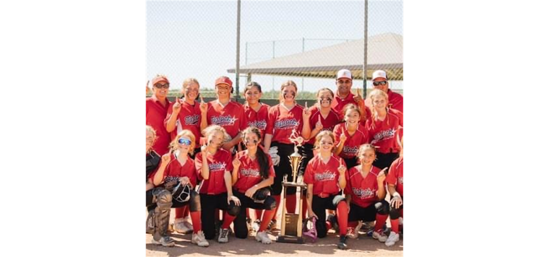 12s softball