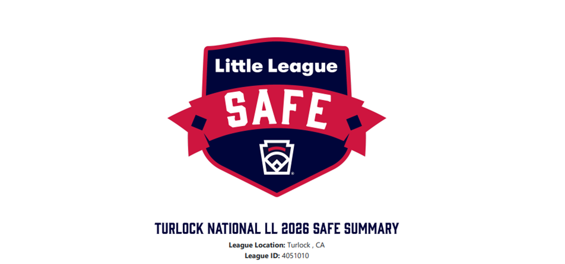 2026 SAFE Summary